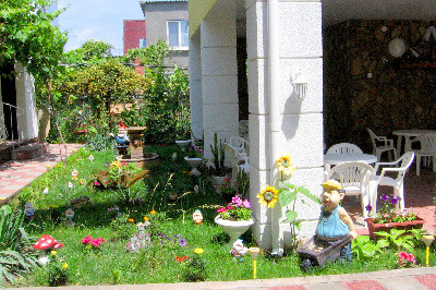 затока лев, фото №3