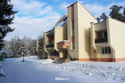 новый год под минском, фото №1